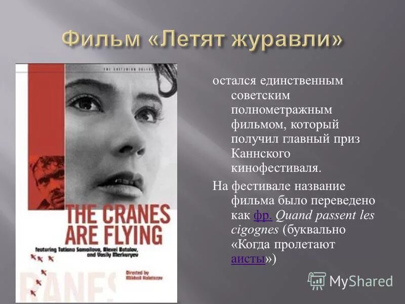 калатозов основные темы. 28 декабря михаил калатозов. калатозов основные темы. калатозов михаил константинович. культура ссср в период оттепели.