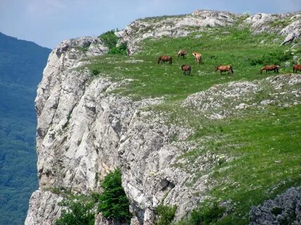 Караби
