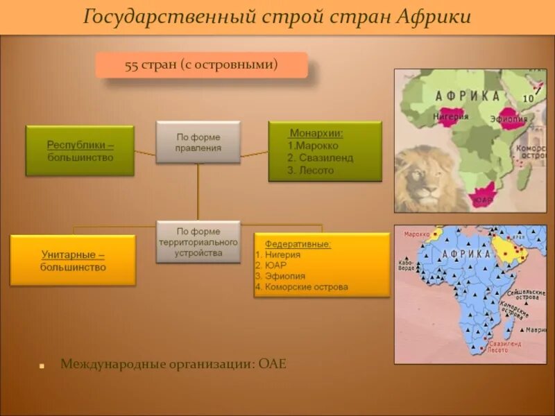 Южная африка особенности природно ресурсного капитала. Государственный Строй стран Африки. Политическое устройство африканских стран. Страны Африки по форме государственного устройства. Форма государственного устройства Африки.