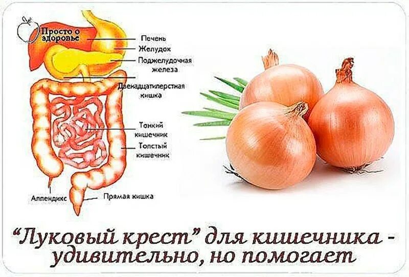 Что полезно для желудка и кишечника. Полезные овощи для кишечника. овощи полезные для желудка и кишечника. фрукты полезные для кишечника. полезные овощи и фрукты для желудка.