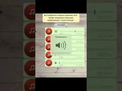 Номер пол 4