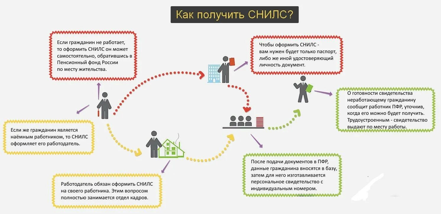 Получить снилс работодателю. Как получить снилс. порядок получения снилс. какие документы необходимы для получения снилс?. какие нужны документы чтобы получить снилс ребенку.