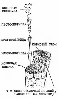 Слой шерстяного волокна