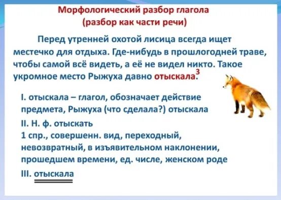 Лисьи разбор. Слово лиса. Разобранная лисичка. Лисьи разбор. Лисьи разбор.