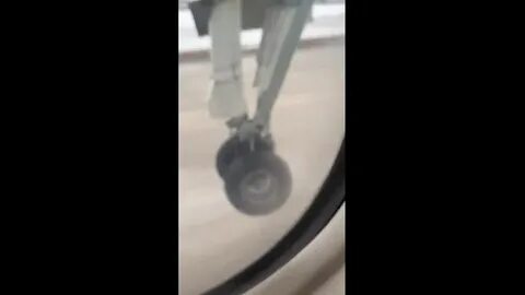 B search mp4 nippydrive