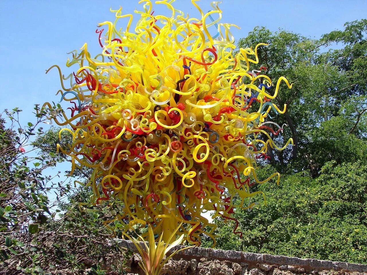 Невероятные цветы. Капур качари растение. АМБХАЛАБХАРА дерево в Индии. Необычные цветы. Экзотические деревья.