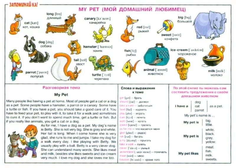 Pet 4 book. Домашние питомцы на английском. Тема мой питомец английский язык. Мой домашний питомец на английском языке. Животных на английском языке.