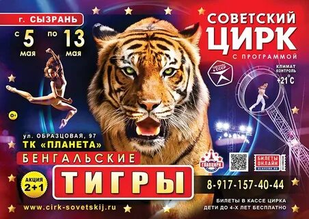 Афиша сим сызрань