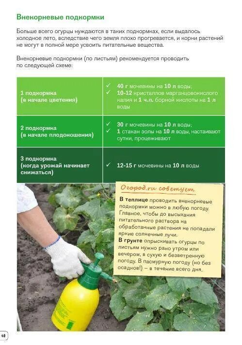 Как часто подкормить