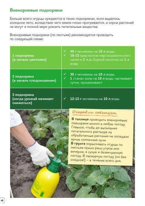 Подкормка огурцы помидоры перец. Схема подкормки огурцов в открытом грунте. Удобрения подкормки рассады огурцов в грунте. Схема подкормки рассады томатов. Таблица подкормки огурцов.