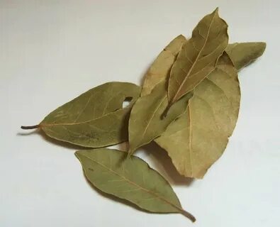 Лавровый лист от моли