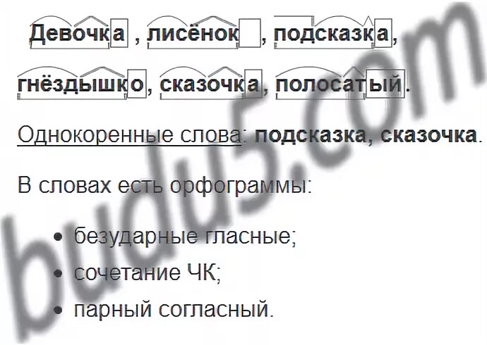 Шубка разбор по составу