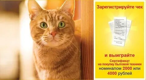 Твой солнечный дом
