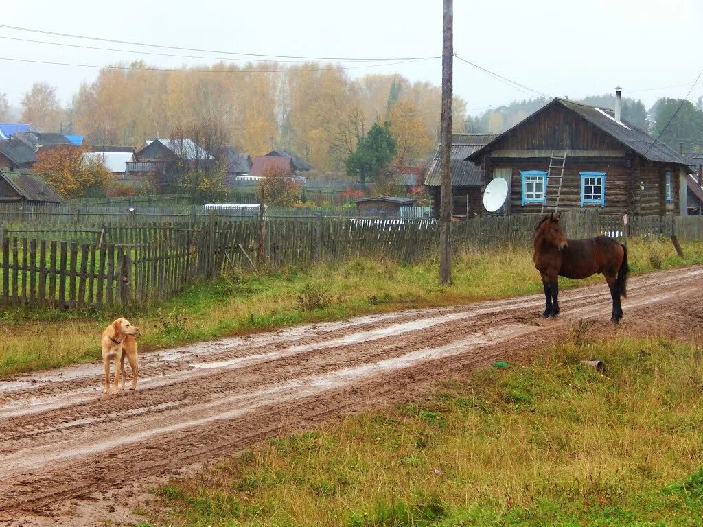 Скинь село. Село Кочево Кочевский район Пермский край. С большая Коча Пермский край Кочевский район. Село село Пермский край. Усть Онолва Пермский край.