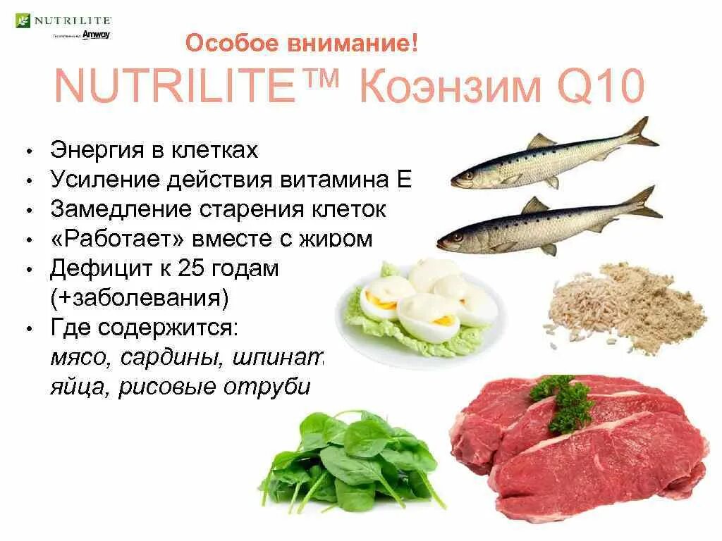 Коэнзим q10 в продуктах питания таблица Коэнзим: польза для организма, свойства и характеристики