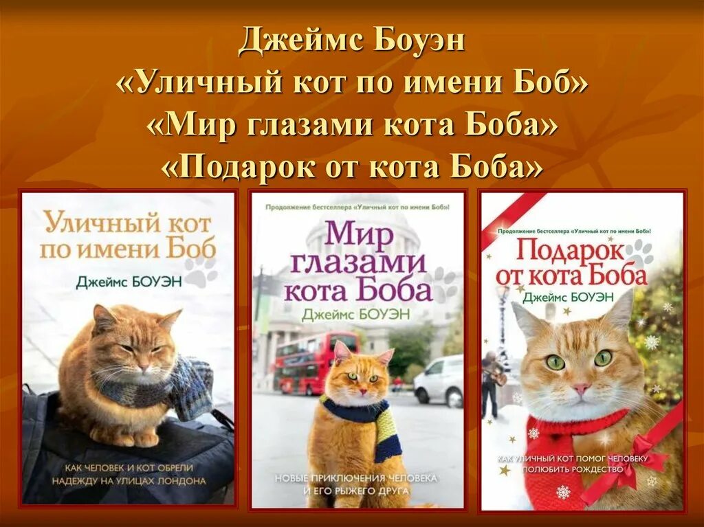 Мир котик. Уличный кот по имени боб книга. боуэн мир глазами кота боба.