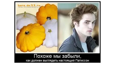 Типа похоже