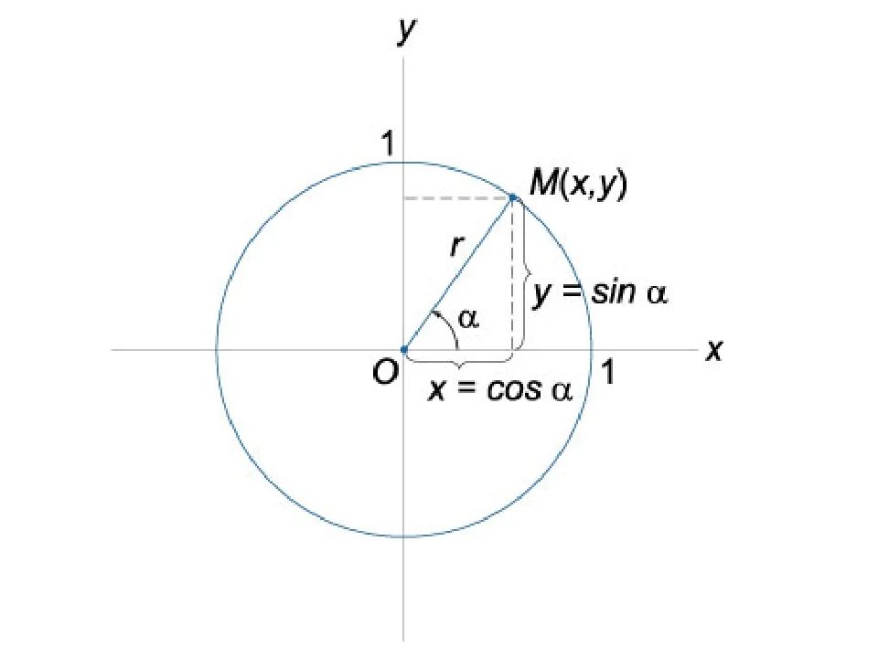 Синус альфа окружность. Синус. Единичная окружность. Sin cos на окружности. Синус x на окружности.