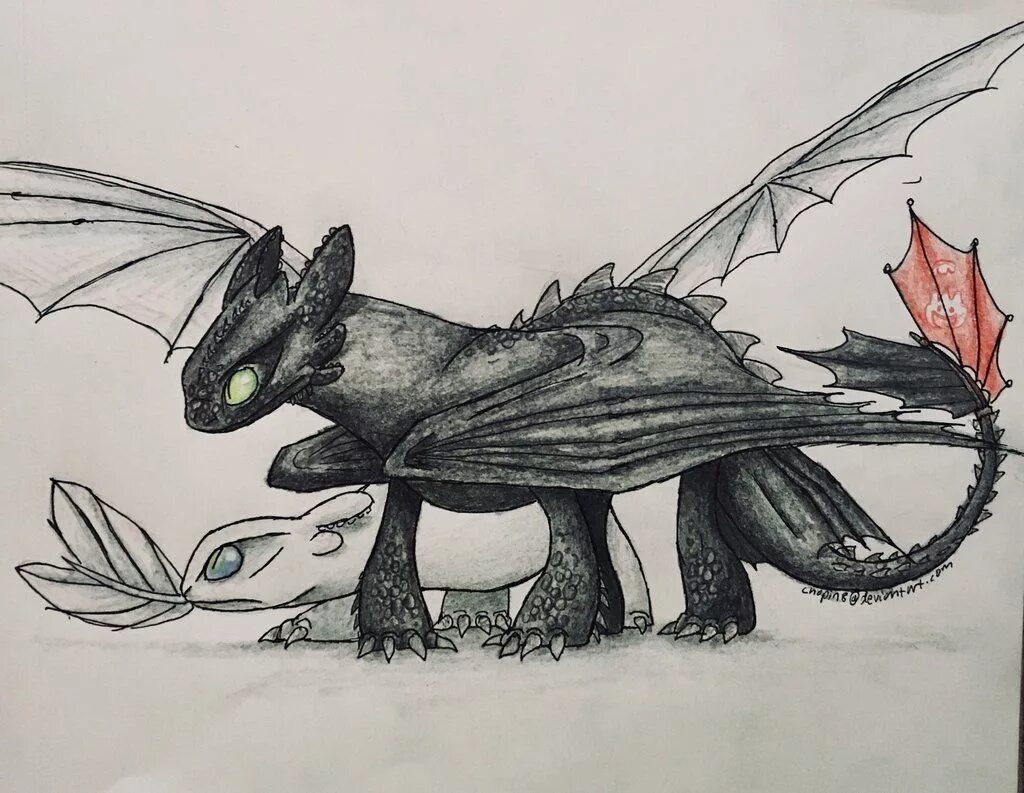 Дракон беззубик карандашом. Как нарисовать беззубика из как приручить дракона. Раскраска беззубик ночная фурия с детьми. Как нарисовать беззубика из как приручить дракона. Беззубик гуашью.