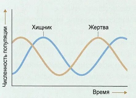 Взаимоотношение хищник жертва