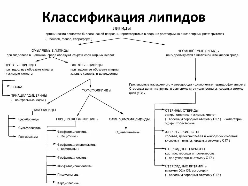 Липиды их строение и функции. Химическая классификация липидов биохимия. классификация пищевых липидов. классификация и строение липидов биохимия. липиды и их классификация.