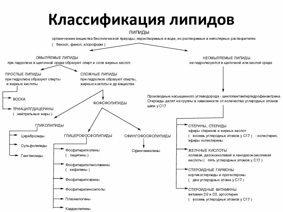 Основные липиды тканей человека. Химическая классификация липидов биохимия. Классификация пищевых липидов. Классификация и строение липидов биохимия. Структура, классификация, функции липидов.