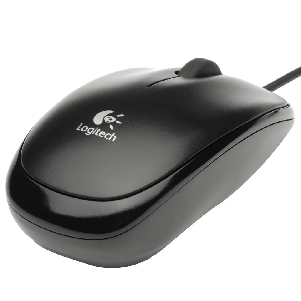 Mouse b