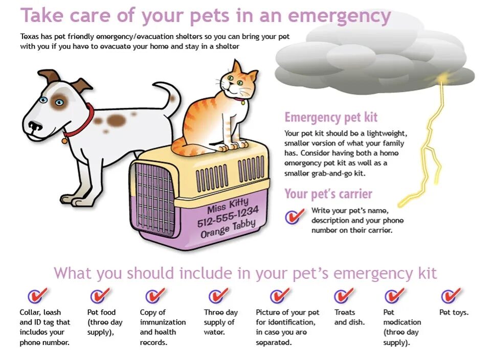 After your pet. Take care of pet. taking care of pets. pet картинки для описания. how to take care of pet.