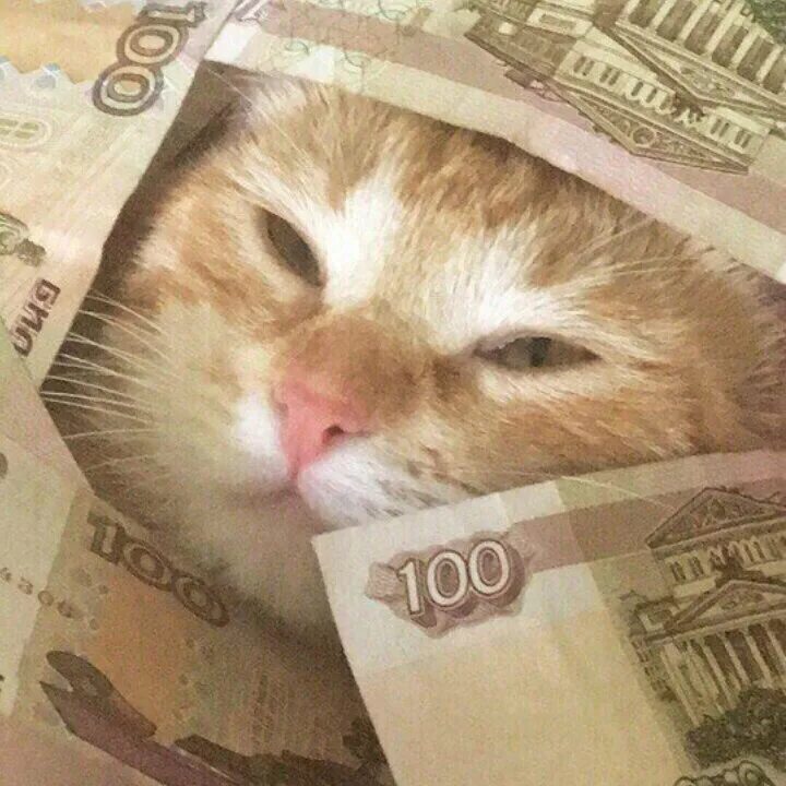 Пин на доске Zhiza mood