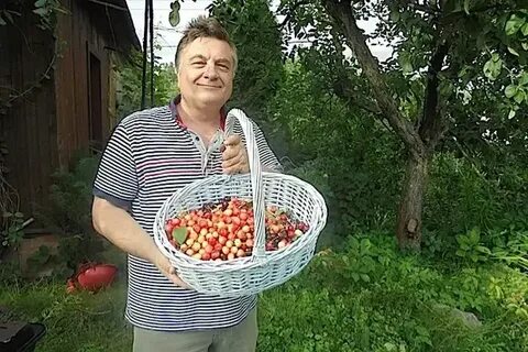 Передача про дачу