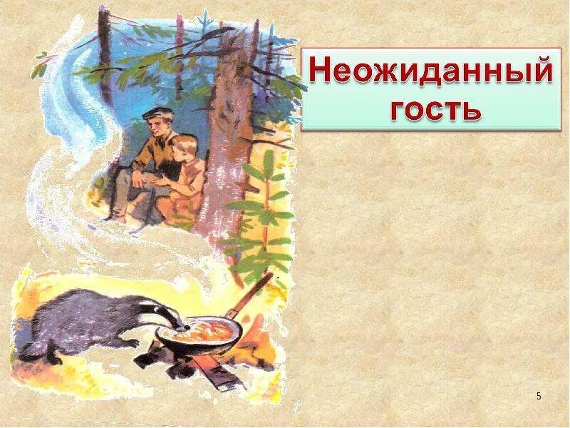 К. Паустовский барсучий нос читательский дневник 3 класс. Паустовский барсук. Барсучий нос паустовский рисунок. Паустовский "барсучий нос".
