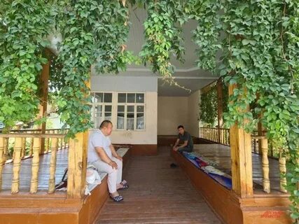 Ташкент жив