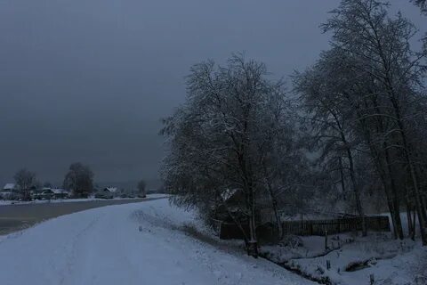 Снег в пасмурный день