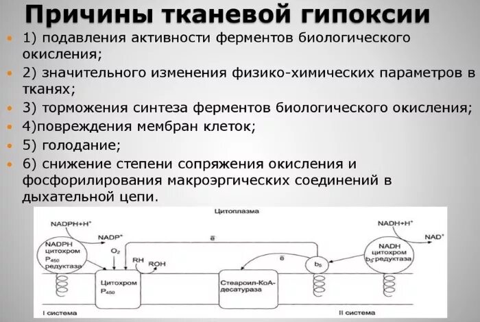 Причины гипоксии мозга. Кислородное голодание мозга. Кислородное голодание мозга причины. Признаки кислородного голодания головного мозга. Симптомы кислородного голодания головного мозга у взрослых.