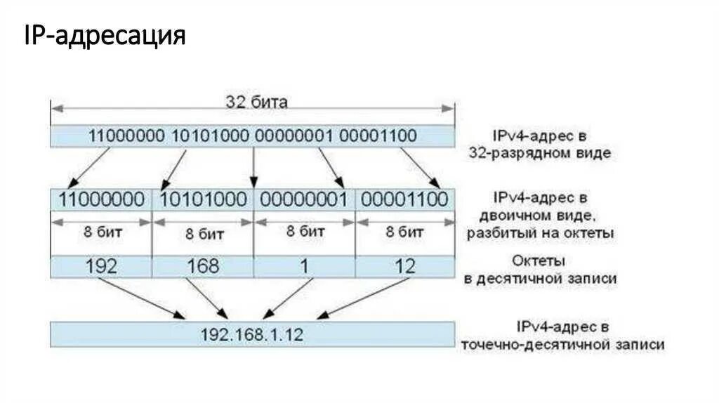 2 представлены в виде четырех. 2 представлены в виде четырех