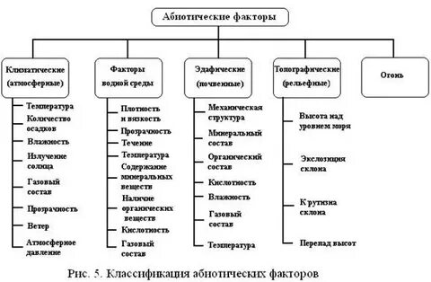 Абиотические факторы реки