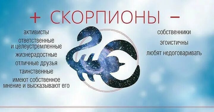 Виды знаков скорпиона. Скорпион знак зодиака женщина характеристика плюсы и минусы. скорпион характеристика знака. характер скорпиона. скорпион знак зодиака плюсы и минусы.
