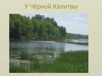 Почему реки черные