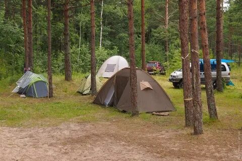 Ленинградская область куда с палатками