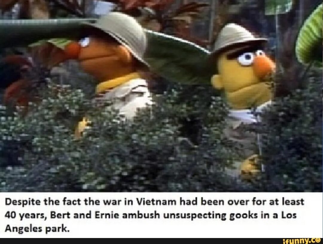 Despite the fact that. Bert is Evil.