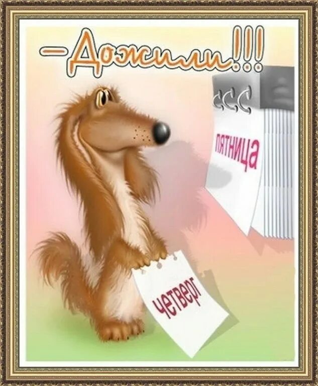 Навстречу пятнице. Открытки с пятницей прикольные. веселые открытки с пятницей. открытка ура пятница. пятница открытки с юмором.