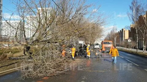 Почему в москве не было лета