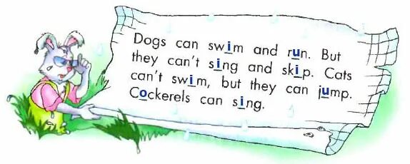 Cats can sing. A Dog can Swim. Can they Swim? Yes, they can английский.