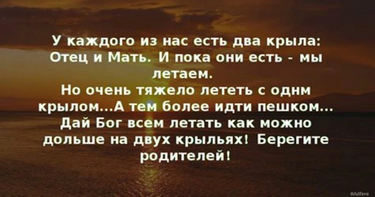 Пока мать жива. У каждого из нас есть 2 крыла. Цитаты про родителей. Родители 2 крыла стих. Два крыла отец и мать.