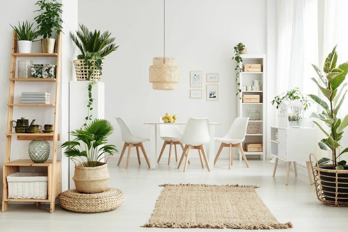 Living items. Экостиль в гостиной с фитостеной. Скандинавский интерьер и декор Scandi Interior. Эко Сканди в интерьере. Мебель в стиле Сканди.