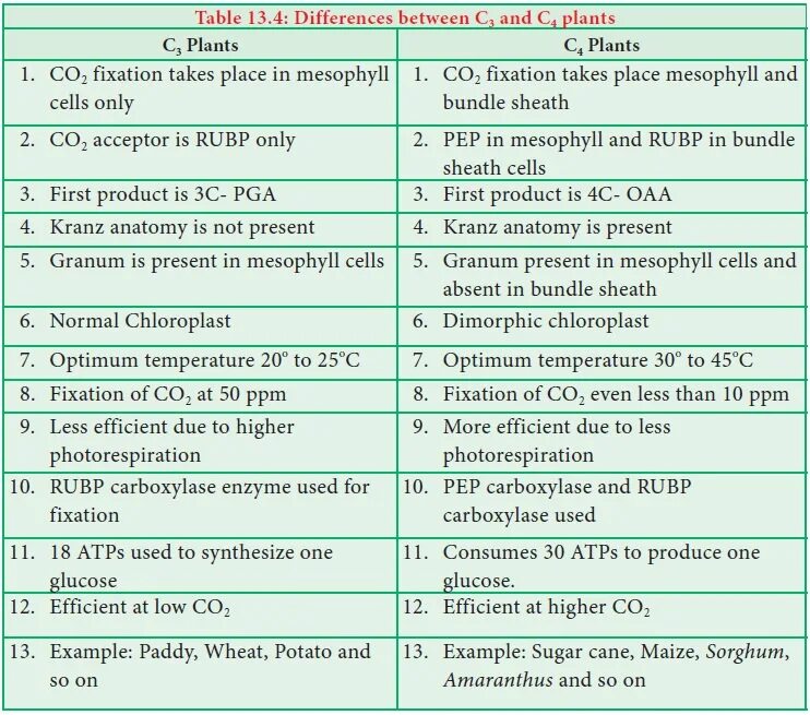 Difference between c and c