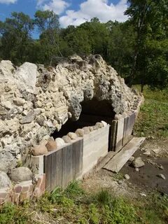 Кедр гостилицы