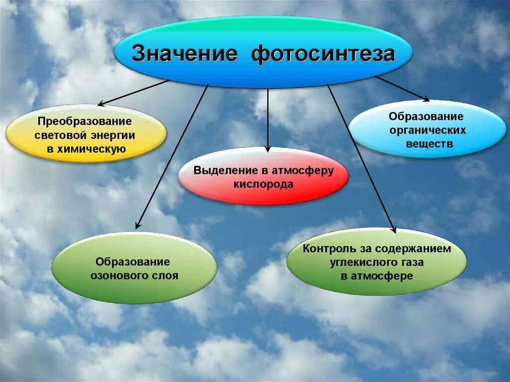 Роль фотосинтеза схема. Роль фотосинтеза в природе. Значение фотосинтеза. Роль фотосинтеза в жизни. Роль фотосинтеза для живых организмов.