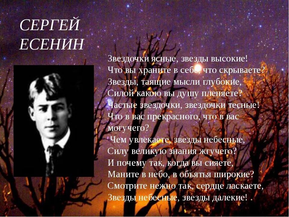 Мне нужны звезды даже песни. Поэзия Сергея Есенина. Есенин с. "стихотворения". Самые известные стихотворения Есенина Сергея Александровича.