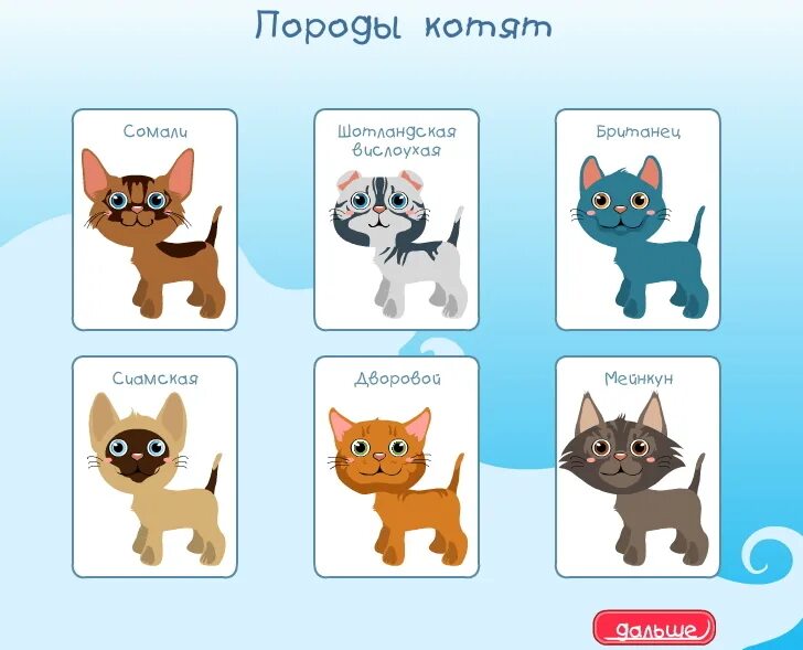 Включи приложение кот. Котики приложения. котики приложения картинки. котята секретик. иконки для приложений с котиками.